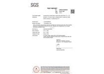 Glass Silver Mirror Inspection Report